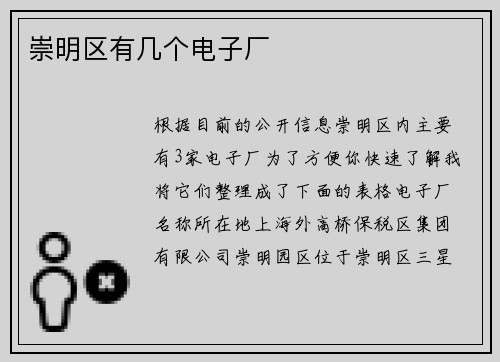 崇明区有几个电子厂